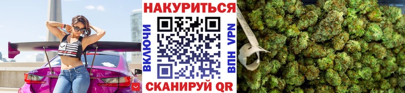 Канабис сатива  Щигры 